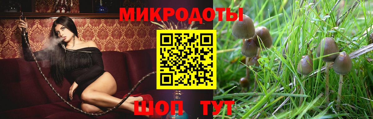 Туапсе  Псилоцибиновые грибы Psilocybine cubensis  Вход с VPN  как найти наркотики  Псилоцибиновые грибы MAGIC MUSHROOMS 