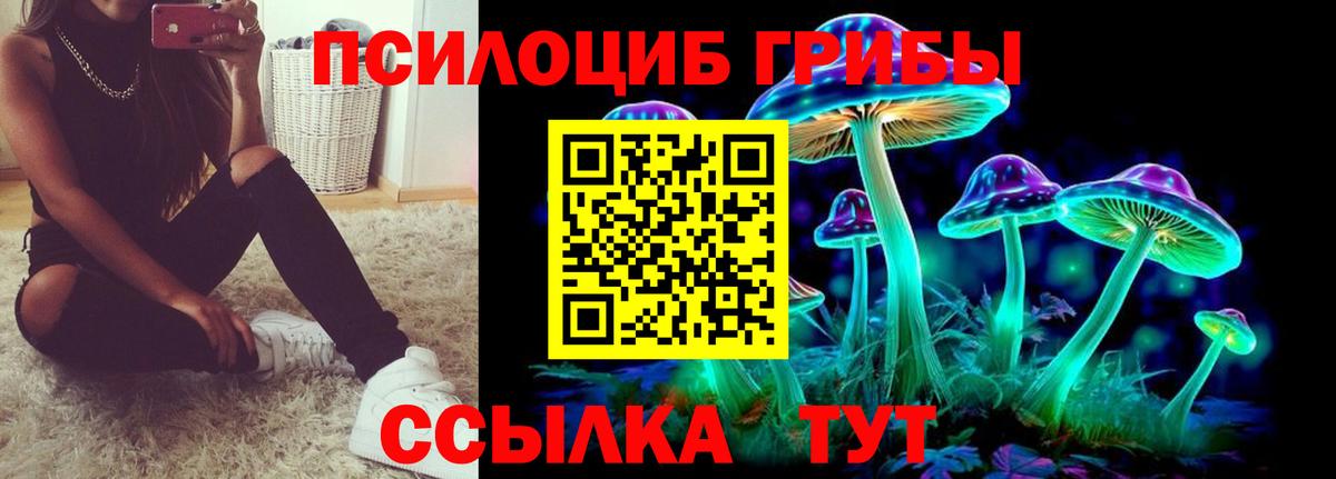 Псилоцибиновые грибы мицелий Туапсе